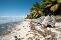 Saona Island