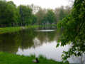 stuletni park