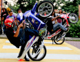 Stunt Show