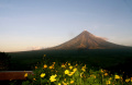 Majestic Mayon