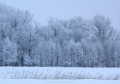Zimowe krajobrazy I